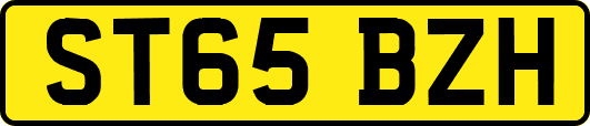 ST65BZH