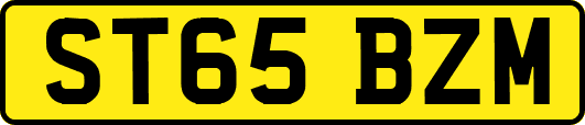 ST65BZM