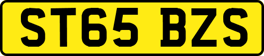 ST65BZS