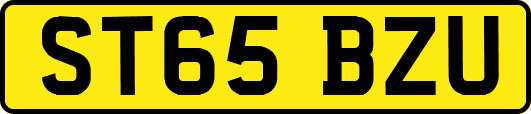 ST65BZU