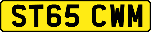 ST65CWM