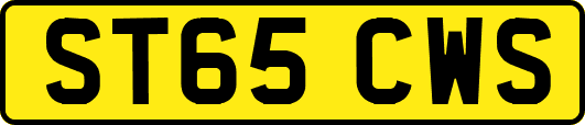 ST65CWS