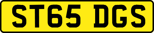 ST65DGS