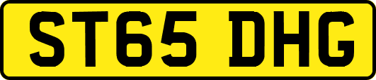 ST65DHG