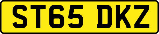 ST65DKZ