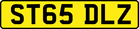 ST65DLZ