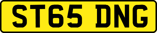 ST65DNG