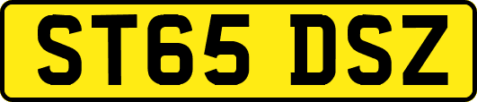 ST65DSZ
