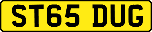 ST65DUG