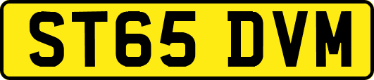 ST65DVM