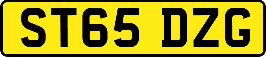 ST65DZG