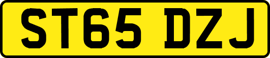 ST65DZJ