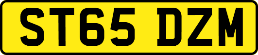 ST65DZM