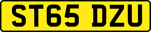 ST65DZU