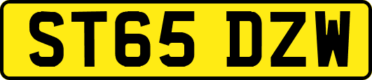 ST65DZW