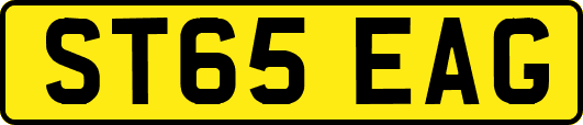 ST65EAG