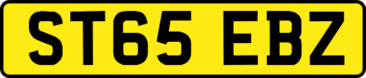 ST65EBZ