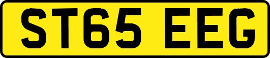 ST65EEG