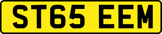 ST65EEM