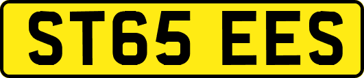 ST65EES