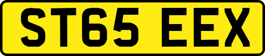 ST65EEX