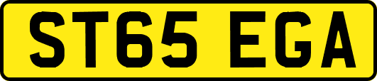 ST65EGA