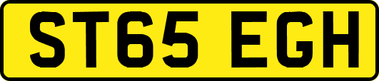 ST65EGH