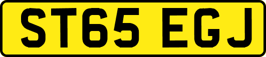 ST65EGJ