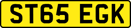 ST65EGK