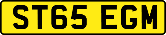 ST65EGM