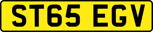 ST65EGV