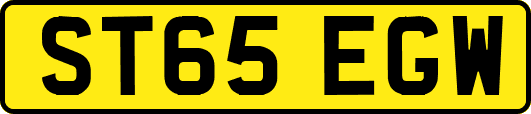 ST65EGW