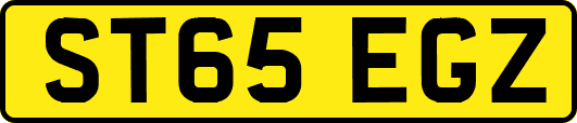 ST65EGZ