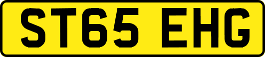 ST65EHG