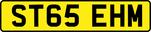 ST65EHM
