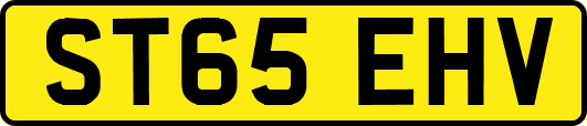 ST65EHV