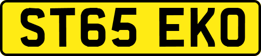 ST65EKO
