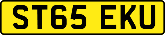 ST65EKU