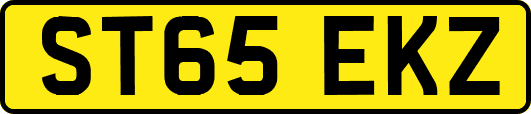 ST65EKZ