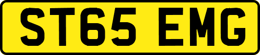 ST65EMG