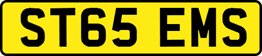 ST65EMS