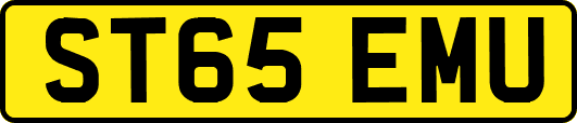 ST65EMU
