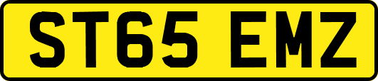 ST65EMZ