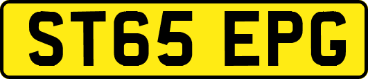 ST65EPG