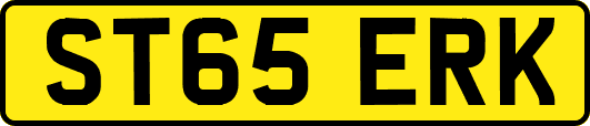 ST65ERK
