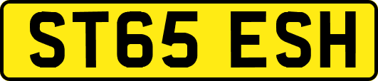 ST65ESH