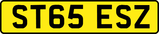 ST65ESZ