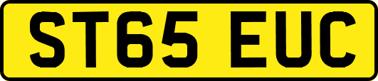 ST65EUC