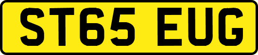 ST65EUG