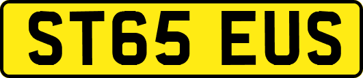 ST65EUS